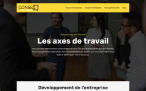 https://www.conseilentreprises.fr